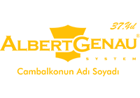 albertgenau_yellow